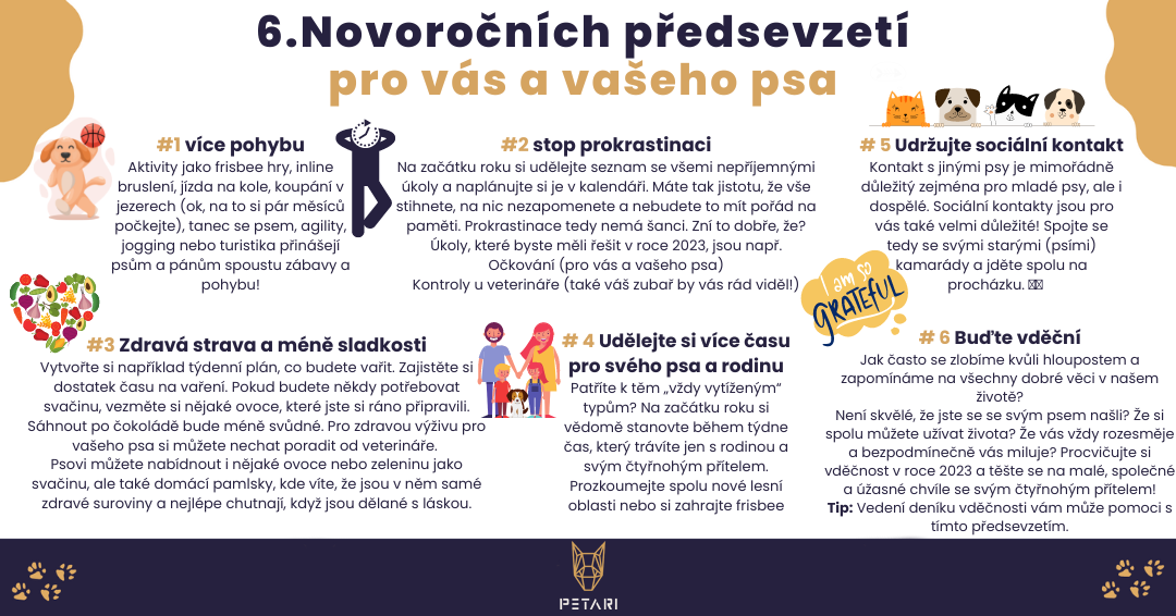 Novoroční předsevzetí pro vás a vašeho psa (1)